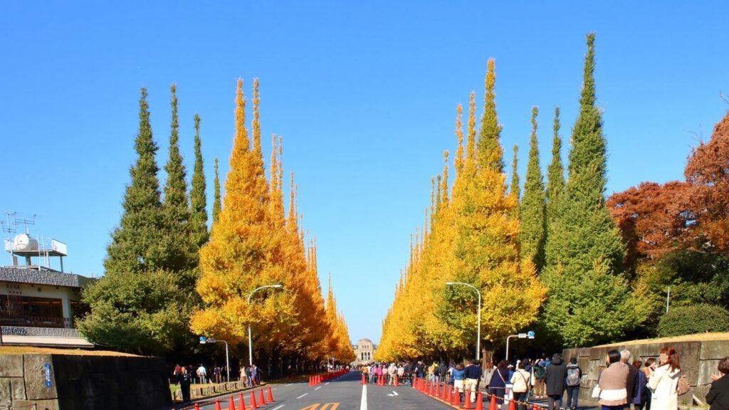A Week in Autumn 2026
